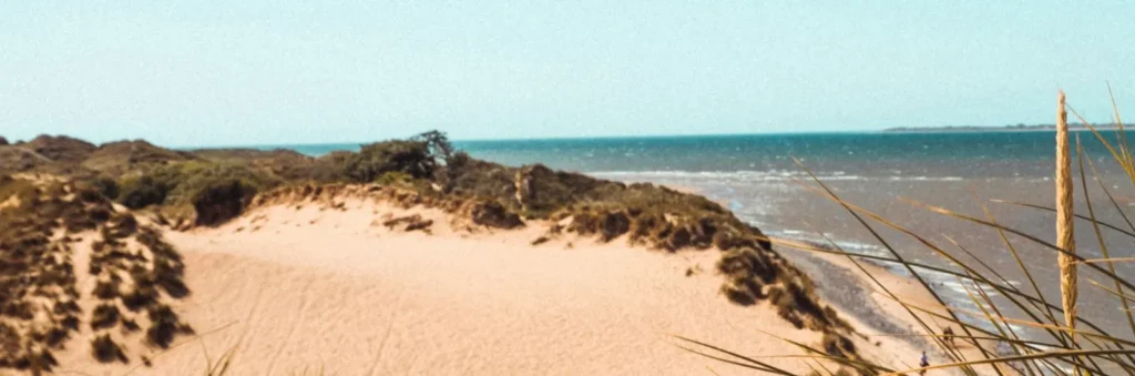Beach on a sunny day