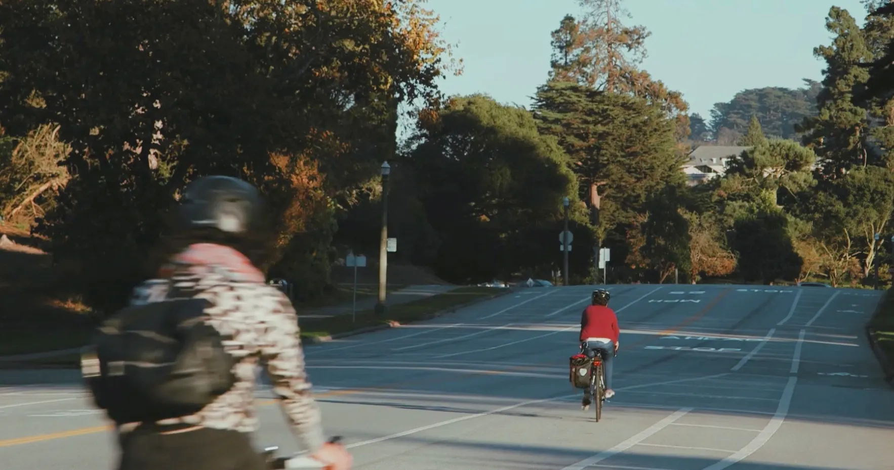 Two cyclists riding along a tree-lined park road in late afternoon sun