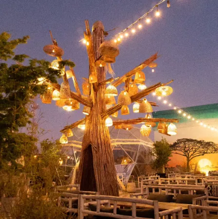 Rooftop bar